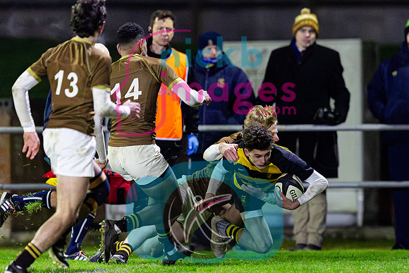 Sedbergh-1XV-v-Wellington-1XV-201124-17