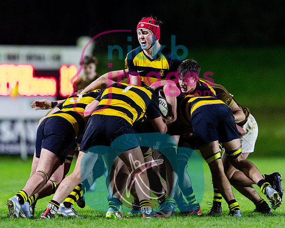 Sedbergh-1XV-v-Wellington-1XV-201124-90