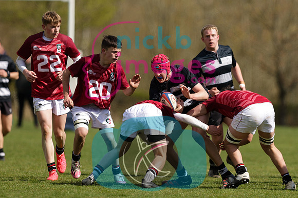 RFU_U16_Festival__Tigers_020422_017