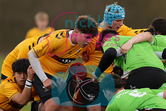 RFU_U16_Festival_020422_017
