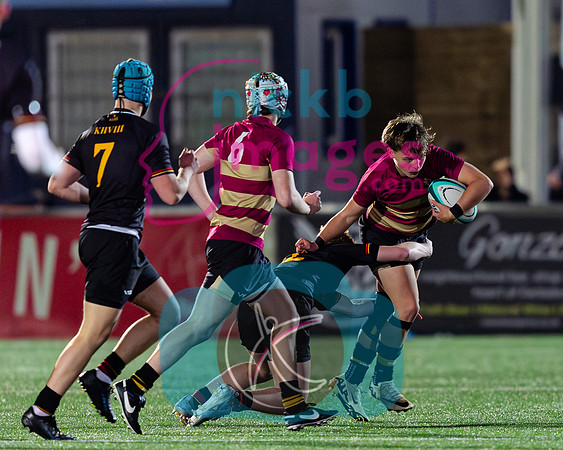 Bablake-v-KingHenryVIII-BPA-111024-8