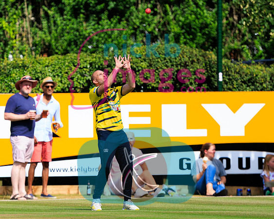 Matt-Gallagher-Foundation-Cricket-110824-16