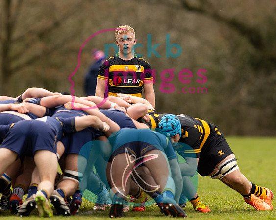 RFU_U17_Festival__0230422_019