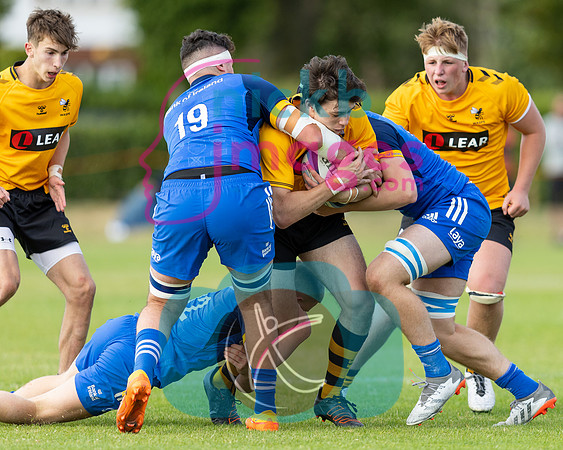 Wasps_U18s_v_Leinster_U18s_050822-186