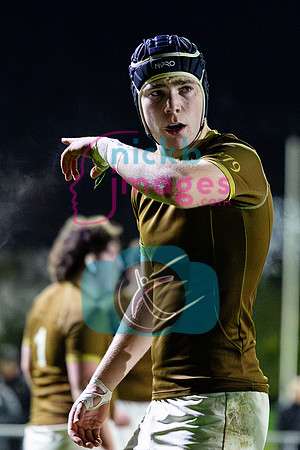 Sedbergh-1XV-v-Wellington-1XV-201124-19