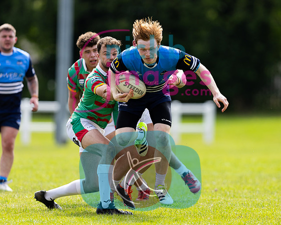 Coventry-Bears-v-Wolf-Hunt-290624-130
