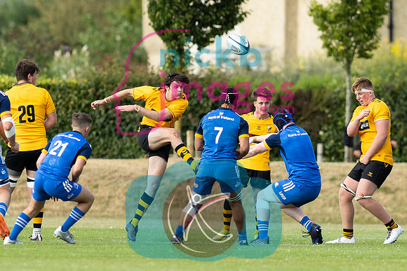 Wasps_U18s_v_Leinster_U18s_050822-197