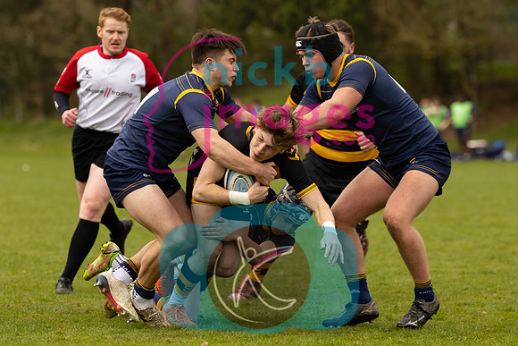 RFU_U17_Festival__0230422_036