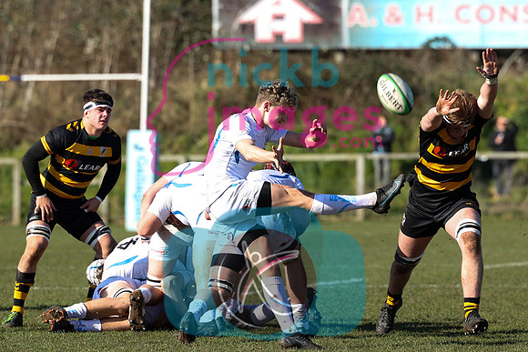 Prem_Rugby_Academy_League_Exeter_Chiefs_v_Wasps_010
