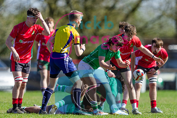 Warwickshire-RFU-Cup-Finals-U16-060425-7