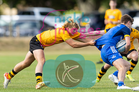 Wasps_U18s_v_Leinster_U18s_050822-167