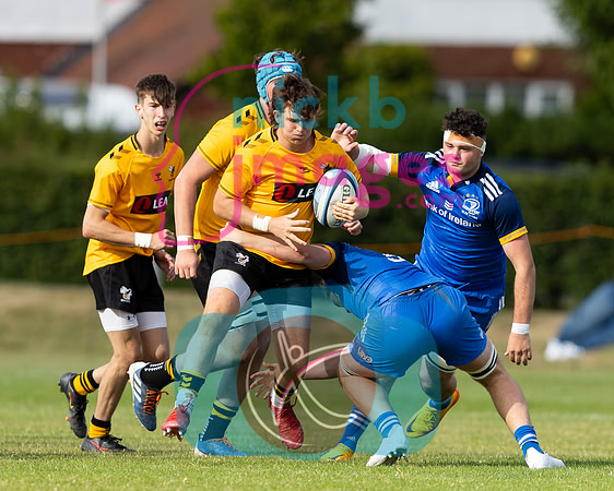 Wasps_U18s_v_Leinster_U18s_050822-169