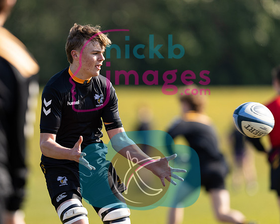 Wasps_U16s_v_Rygbi_Gogledd_Cymru_200322_010