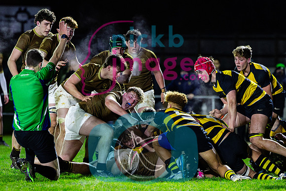Sedbergh-1XV-v-Wellington-1XV-201124-105