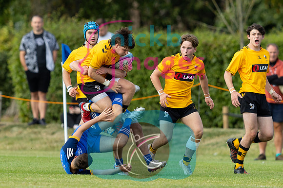 Wasps_U18s_v_Leinster_U18s_050822-192